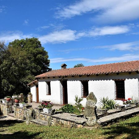 B&B I Menhir Sorgono Kültér fotó