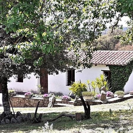 B&B I Menhir Sorgono Kültér fotó