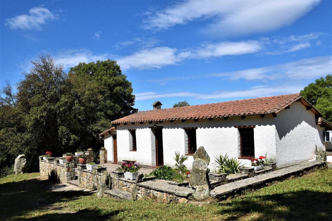 B&B I Menhir Sorgono Kültér fotó