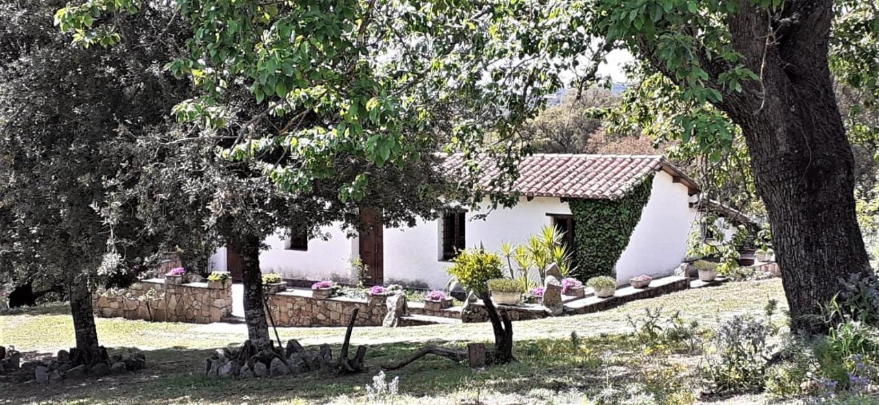 B&B I Menhir Sorgono Kültér fotó