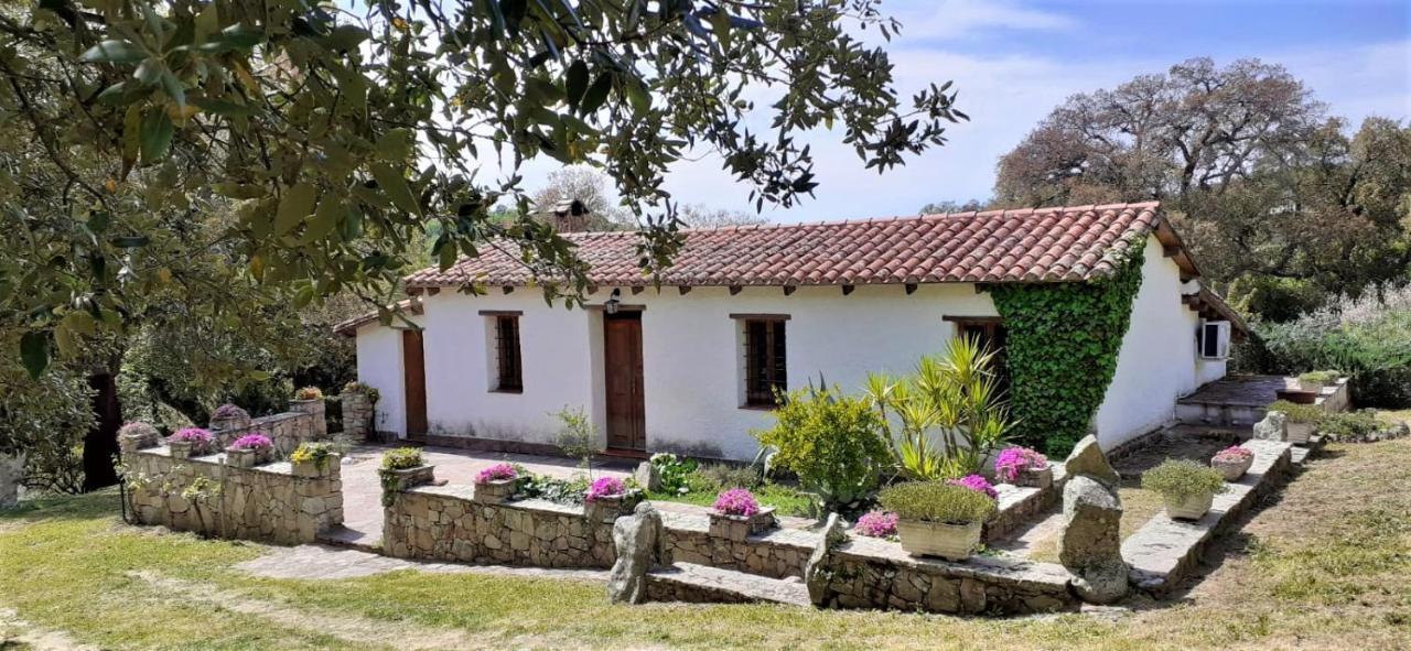 B&B I Menhir Sorgono Kültér fotó
