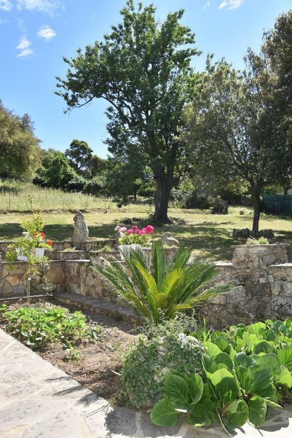 B&B I Menhir Sorgono Kültér fotó