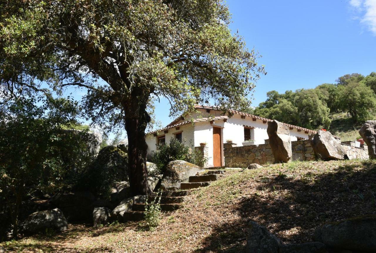 B&B I Menhir Sorgono Kültér fotó