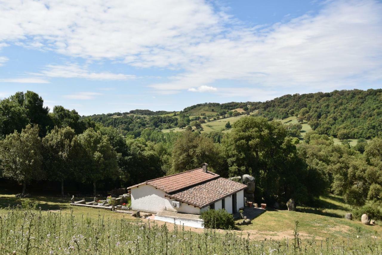B&B I Menhir Sorgono Kültér fotó
