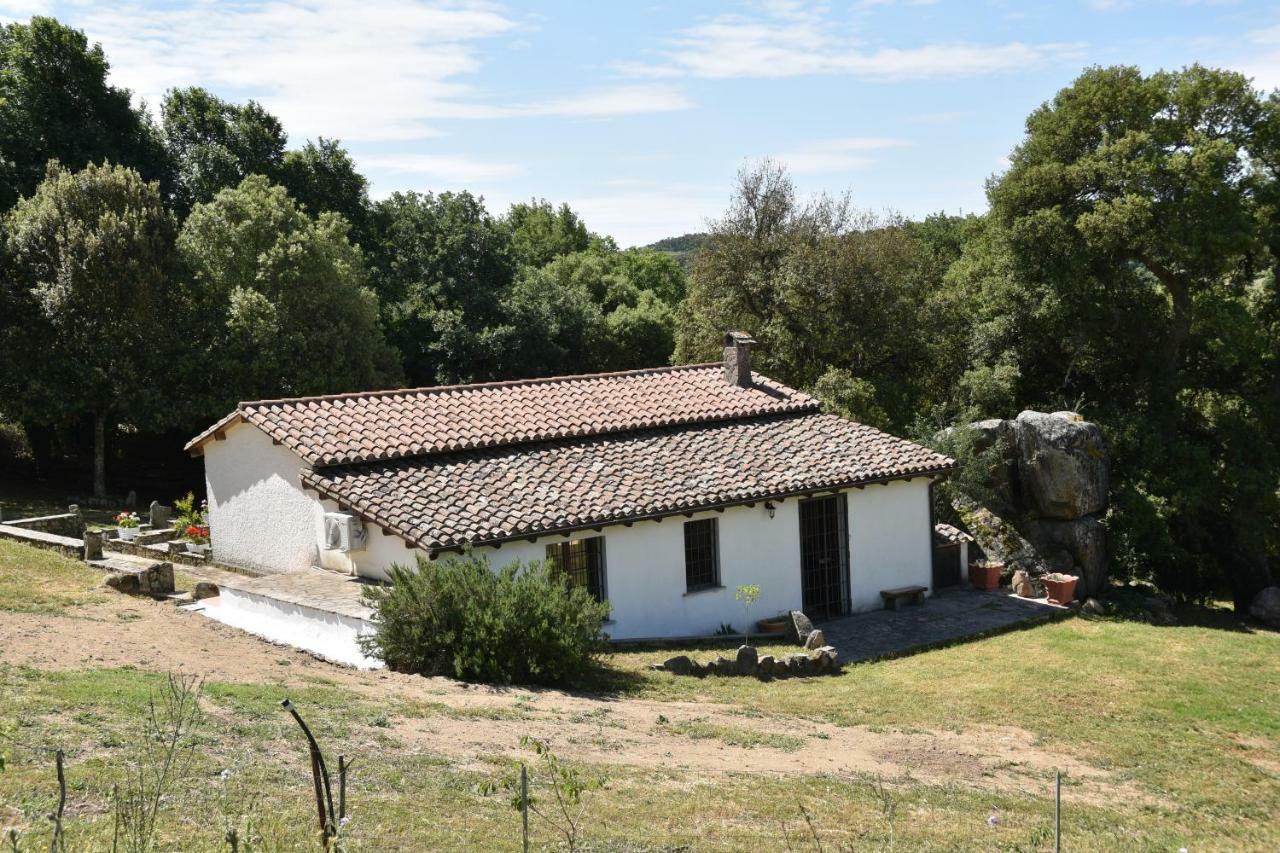 B&B I Menhir Sorgono Kültér fotó