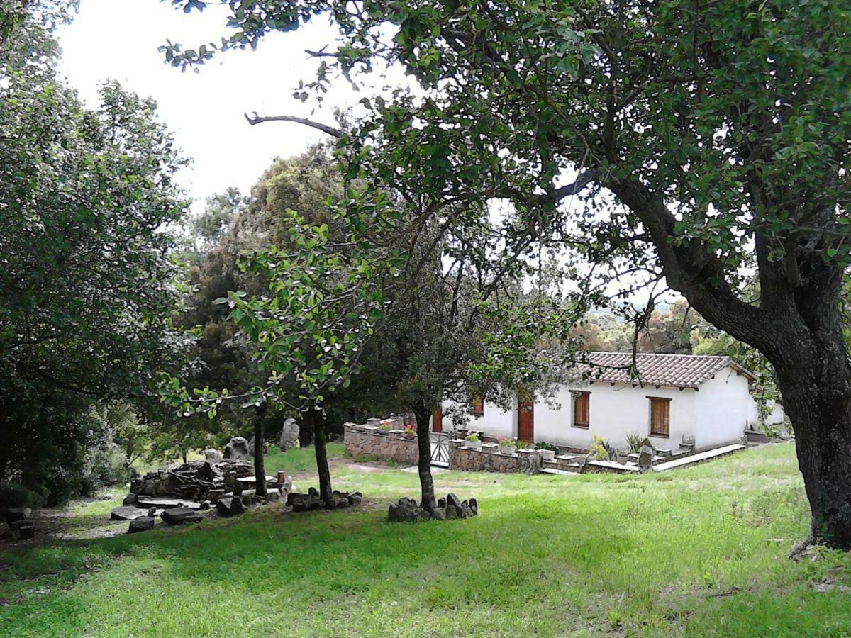 B&B I Menhir Sorgono Kültér fotó