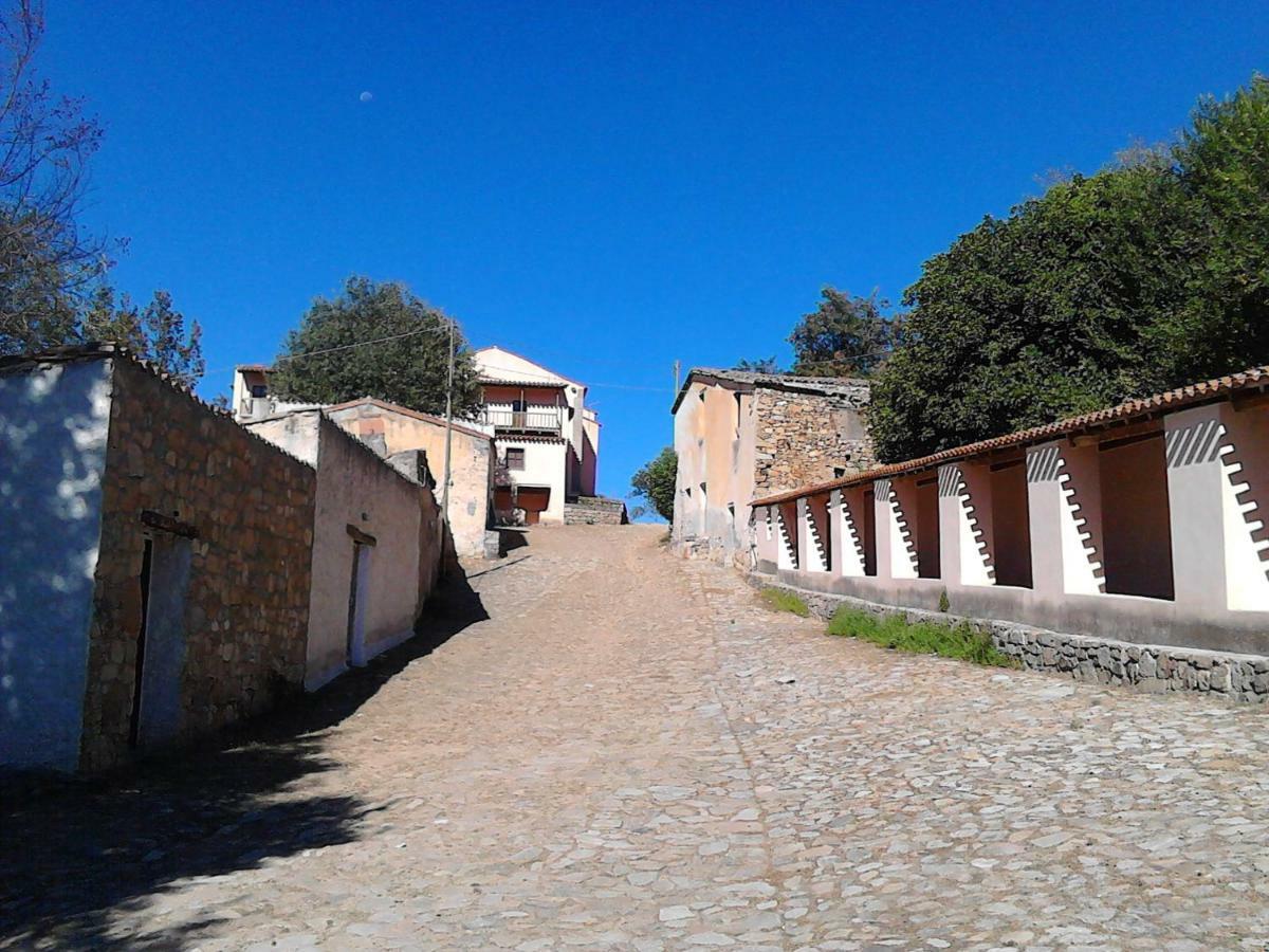 B&B I Menhir Sorgono Kültér fotó