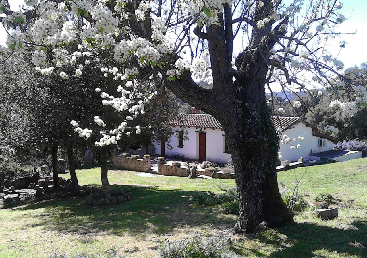 B&B I Menhir Sorgono Kültér fotó
